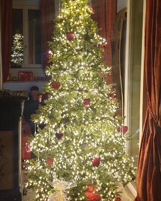 ALBERO DI NATALE