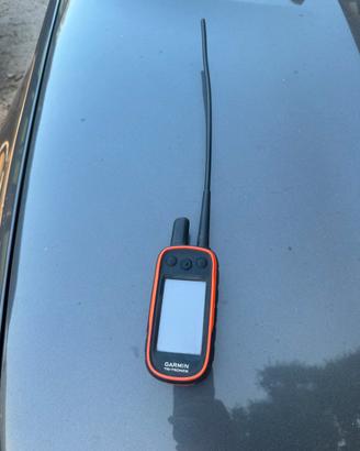 Garmin alpha 100