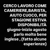 Cameriere aiuto cuoco barista