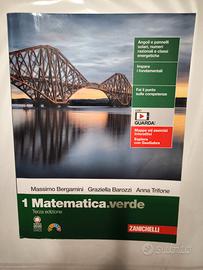 1 Matematica.verde - Terza edizione 