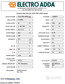 MOTORE ELETTRICO TRIFASE 30 kW