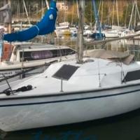Barca a vela Jouet 23 Calife