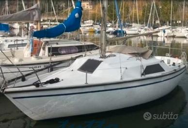 Barca a vela Jouet 23 Calife