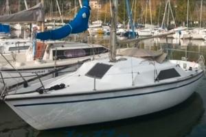 Barca a vela Jouet 23 Calife