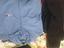 Immagine 6