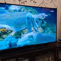 TV led Panasonic 65 pollici  4K ultra HD HDR10