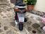 Immagine 2