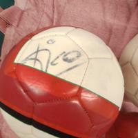 pallone Nike con  autografi anno 2007/2008