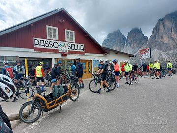 Bicicletta Cargo Bike Riese Muller Load4 75