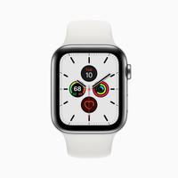 Apple Watch 5 LTE 40mm PERFETTO Cavo Cinturini 