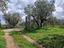 Immagine 15