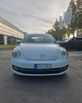 MAGGIOLINO 1.6 DIESEL