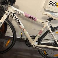 Bici da Corsa Giro d' Italia maglia rosa
