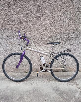 bici Clifford 
