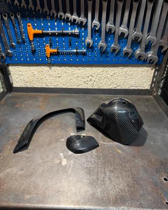 Carbonio per vespa