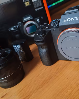 Sony A7 III + Samyang AF 24mm F2.8 FE – 140 scatti