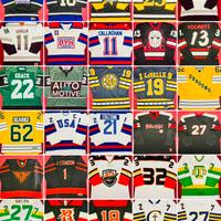 Maglie hockey jersey NHL/Minors/European League