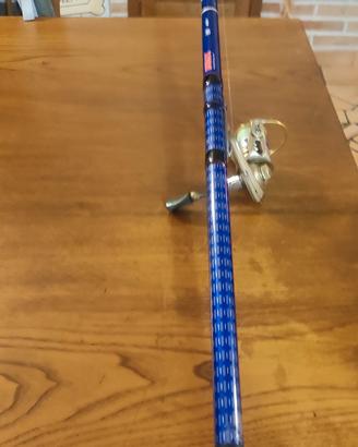 canna da pesca bolognese 