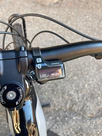 Bici ebike