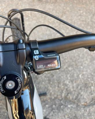 Bici ebike