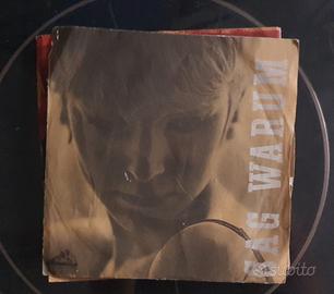 vinile "Sag Warum" Camillo Felgen e Hansen Boys