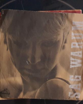 vinile "Sag Warum" Camillo Felgen e Hansen Boys