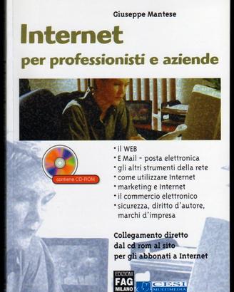 INTERNET PER PROFESSIONISTI E AZIENDE (con CD-ROM)