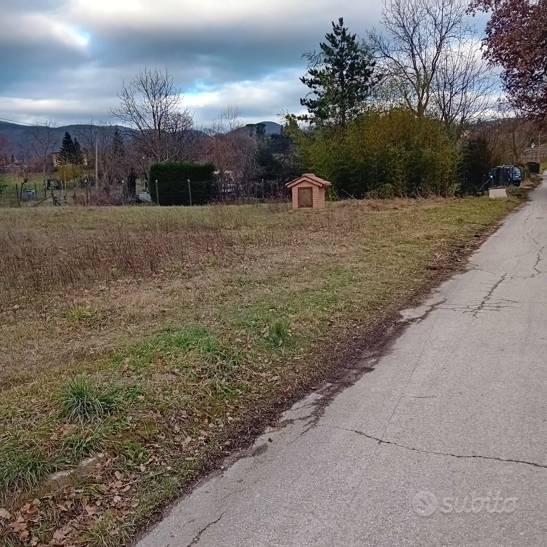 Terreno e rustici - Vista 3