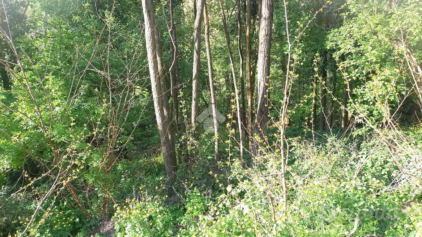TER. AGRICOLO A TEOLO - Vista 2