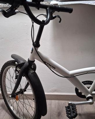 bici raggio 20