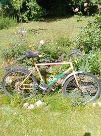 Bicicletta