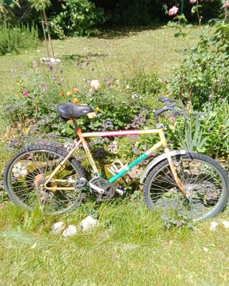 Bicicletta