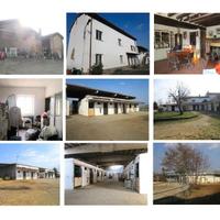 Amore per i Cavalli - Ferrea Volontà e Altro