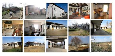 Amore per i Cavalli - Ferrea Volontà e Altro