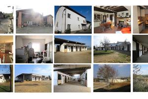 Amore per i Cavalli - Ferrea Volontà e Altro