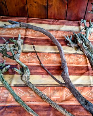 RADICI PER ACQUARI,TERRARI,HOBBYSTICA