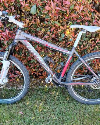 Mountain Bike Olympia