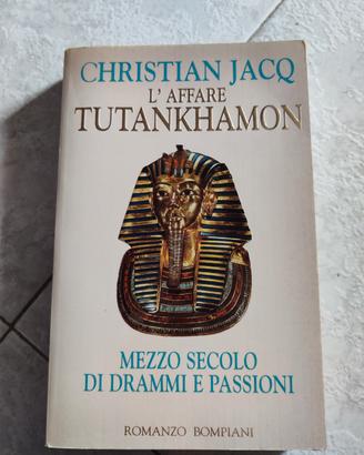 Tutankhamon libro 