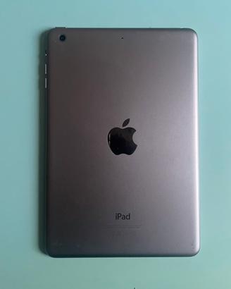 iPad mini 2