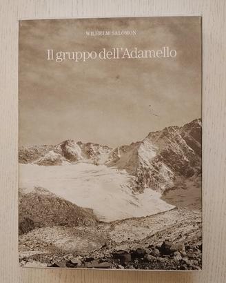 libro Gruppo dell Adamello Salomon Wilhelm