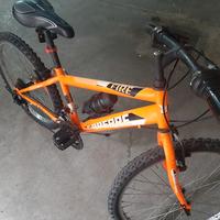 Bicicletta mountain bike