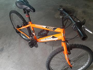 Bicicletta mountain bike