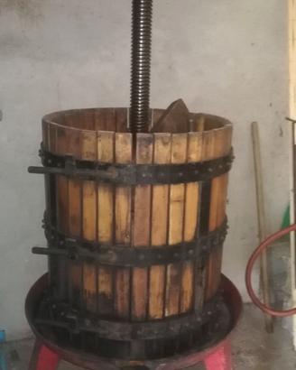 TORCHIO PER UVA