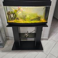 acquario 80 litri