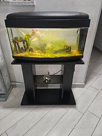 acquario 80 litri