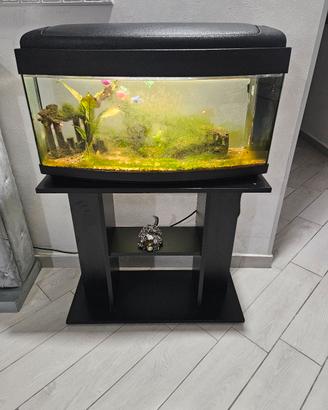 acquario 80 litri