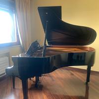 Pianoforte a coda