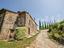Immagine 10