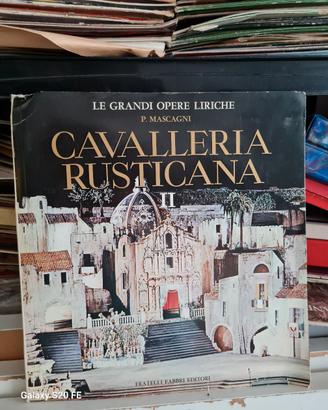 vinili di  opere