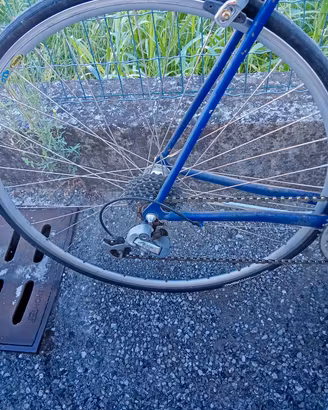 bici uomo 